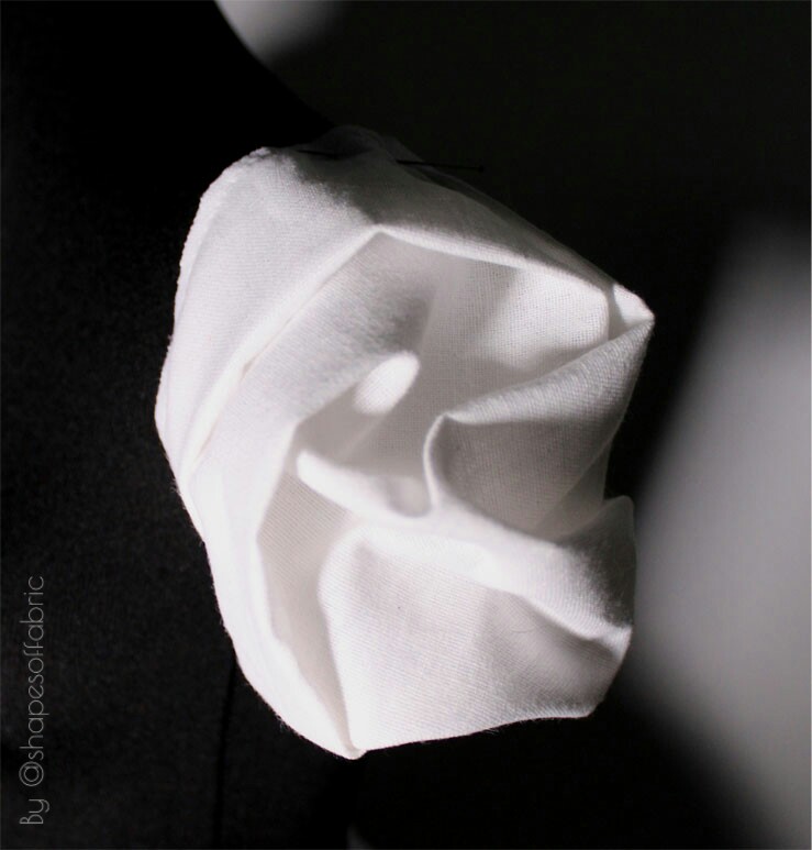 halfscale rose